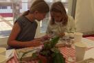 To piger i alderen 7-9 sidder og studerer plastikskåle med frø