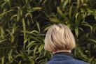 Kvinde med ryggen til kameraet studerer grøn væg af levende planter